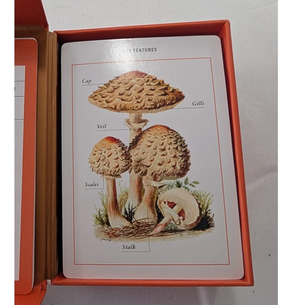 New York Botanical Garden Mushroom Identification Flashcards 100 Common Fungi